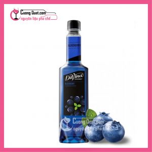 Davinci Siro Việt Quất 750ml (1 thùng giảm 5k - 3 thùng giảm 6k - 5 thùng giảm 7k)