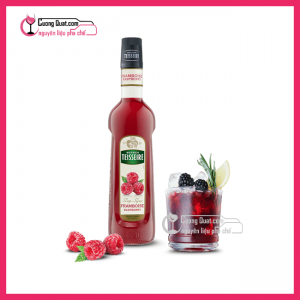 Teisseire Siro Phúc Bồn Tử 700ml (1 thùng giảm 2k - 3 thùng giảm 3k - 5 thùng giảm 5k)