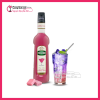 teisseire-siro-gum-700ml-1-thung-giam-2k-3-thung-giam-3k-5-thung-giam-5k - ảnh nhỏ  1