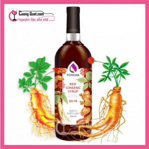 Siro PoMoNa Nhân Sâm 1L (Ctkm: Mua 1T Giảm 2k mỗi Chai)