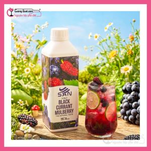 Syrup Nho Đen Dâu Tằm 1Kg SAN ( 1 thùng giảm 5k - 3 thùng giảm 6k - 5 thùng giảm 7k )
