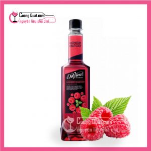 Davinci Siro Phúc Bồn Tử 750ml (1 thùng giảm 2k mỗi chai)